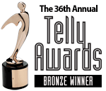 Bronze Telly Award