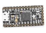 Adafruit ItsyBitsy M0 Express
