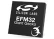 EFM32 Giant Gecko 12 Family