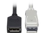 Tripp Lite P579-006 4K DisplayPort Extension Cables