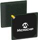 Microchip Technology M2GL150T-1FCSG536I